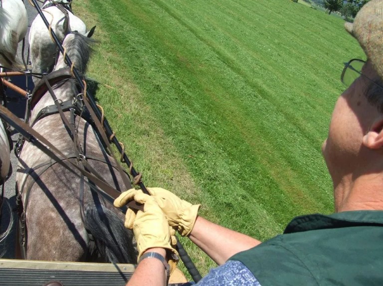 Benno von Achenbach: Anspannen und Fahren Turns&nbsp;100