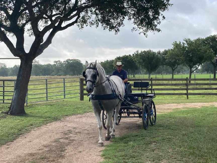 Thanks to our farrier Rob&nbsp;Barfield!