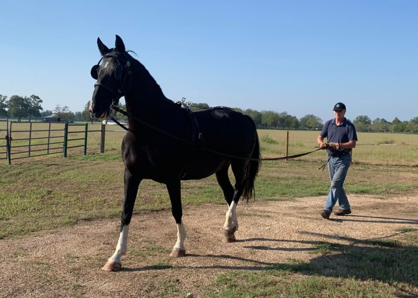 Variety in Training: A Change is as Good as a&nbsp;Rest!