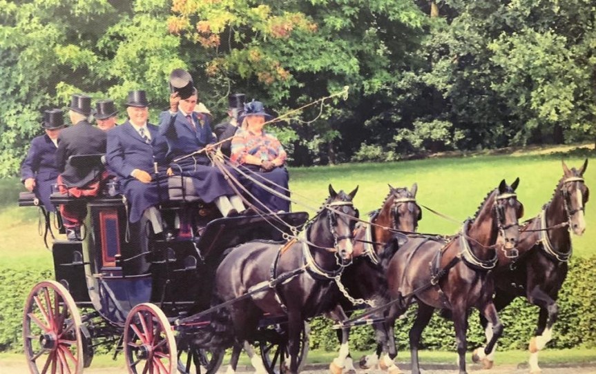 The Whip As an Essential, and Gentle, Driving&nbsp;Aid