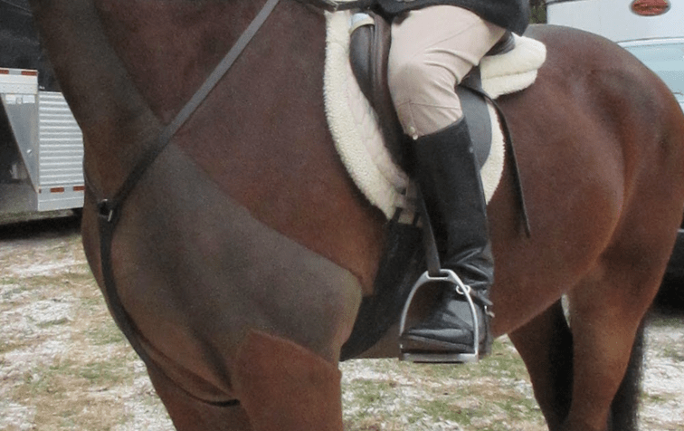 Winter is Coming… To Clip, or Not to&nbsp;Clip?