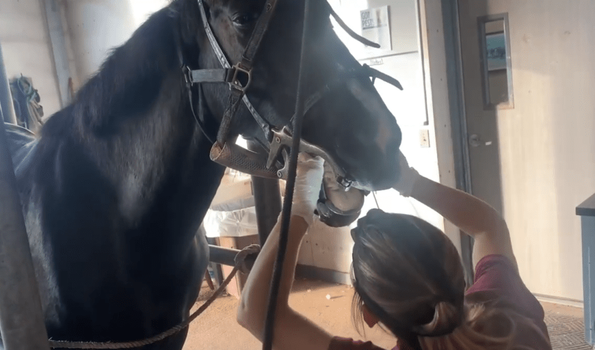 Fen’s Day at the&nbsp;Dentist