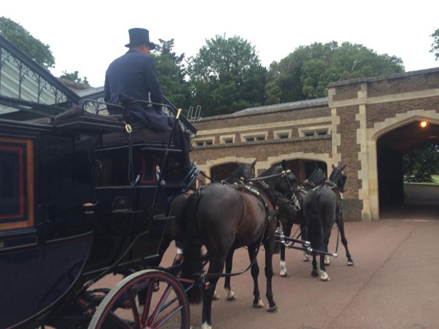 A Week in the Royal&nbsp;Mews