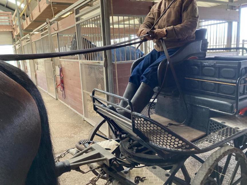 Measuring Your Reins Before Mounting, the Achenbach&nbsp;Way