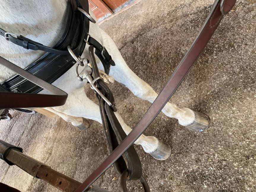 Ranch Ride Carriage Drive Answers Your Questions:  Poles, Pole Straps, and&nbsp;Turns