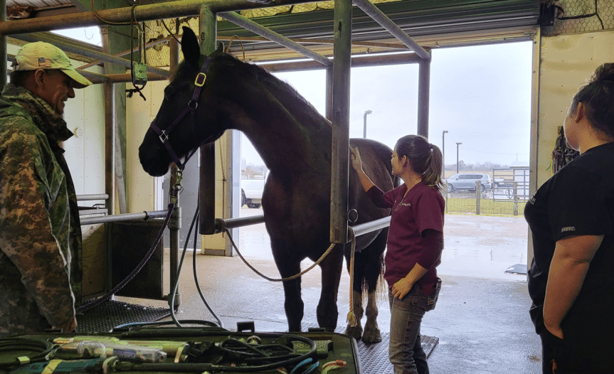 Dainty Goes to the&nbsp;Dentist