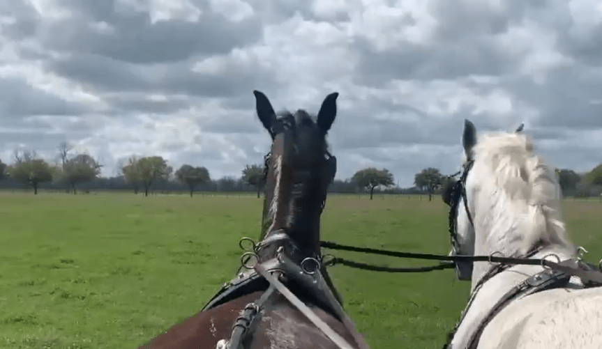 Spring Training at the&nbsp;Ranch