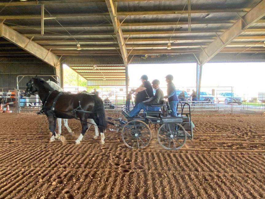 We’re Proud to be a Consultant for The Equine&nbsp;Expert!