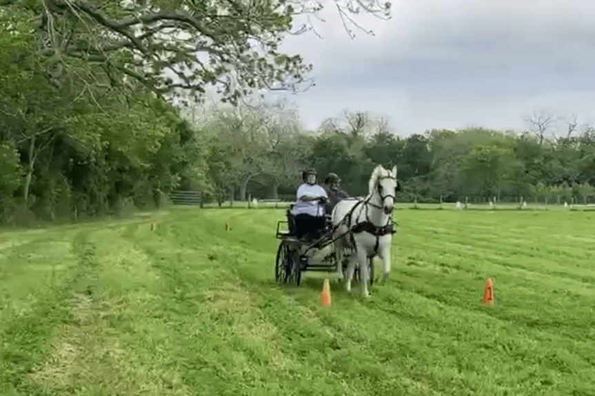 Fun in the Cones with Libertad and&nbsp;Fen!