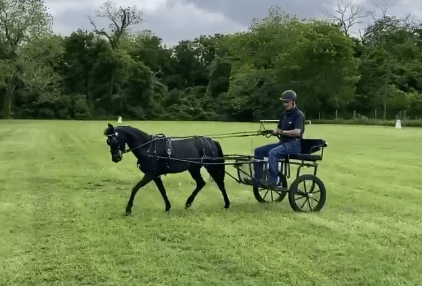 A New Turnout: Fitting the Pieces&nbsp;Together