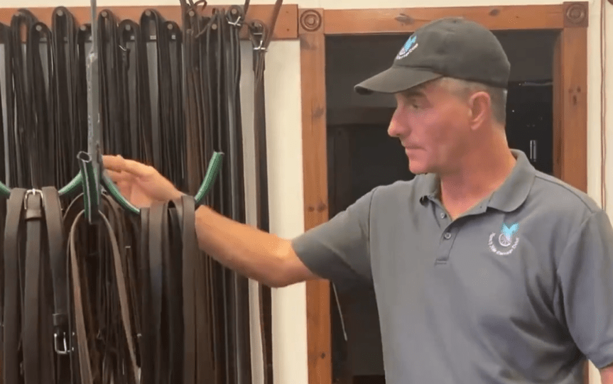 Reins: Fit, Safety, Materials, and&nbsp;Maintenance