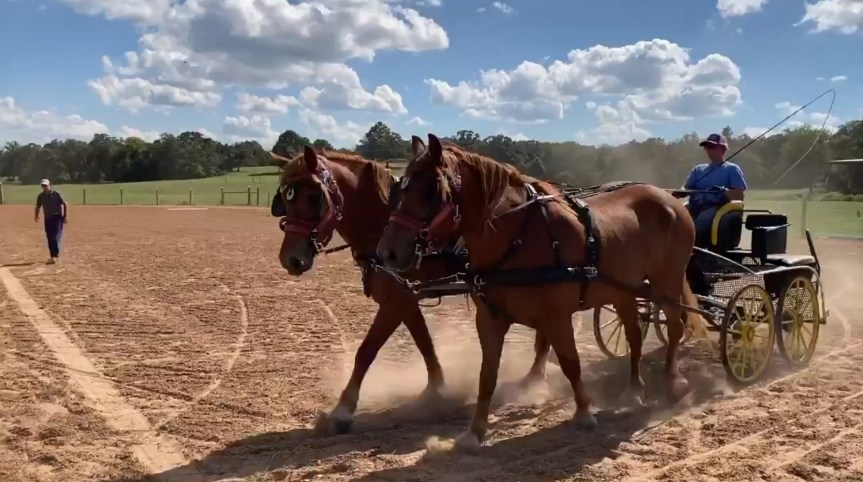 A Change is as Good as a Rest: Our Training Day&nbsp;Out