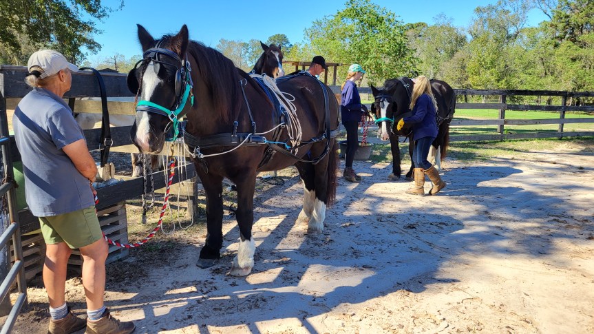 Henry’s Home Hits a&nbsp;Milestone!