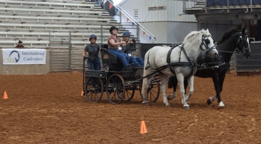 We Had a Blast at the Certified Horsemanship International Conference&nbsp;2024!