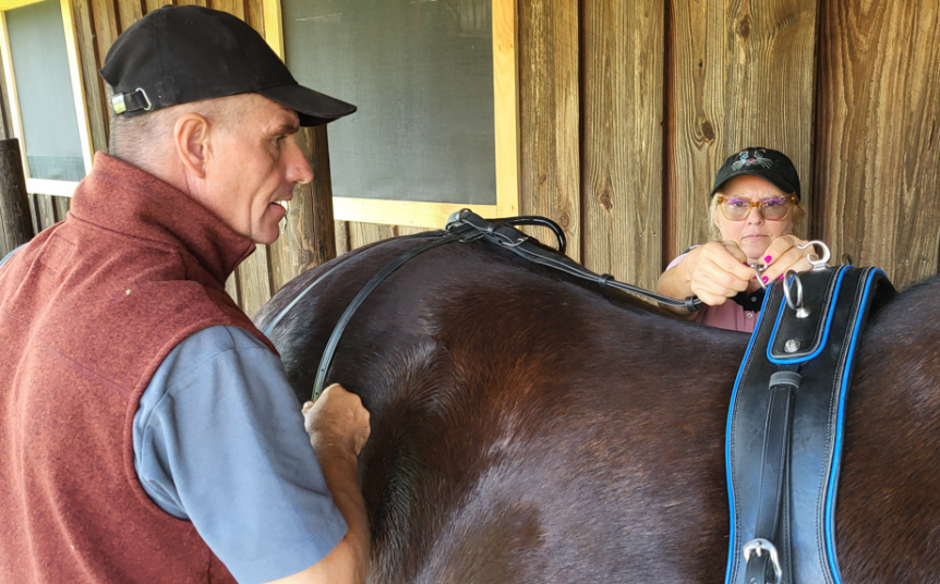 Henry’s Home Update: Carriage Maintenance and Harness&nbsp;Fitting