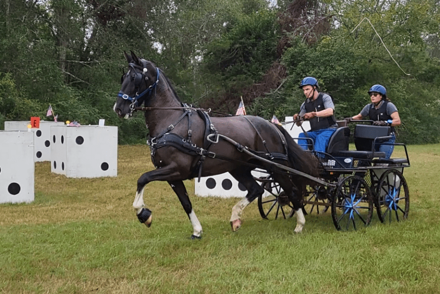 HACA’s 2024 Pine Hill Driving Trials and Combined&nbsp;Test