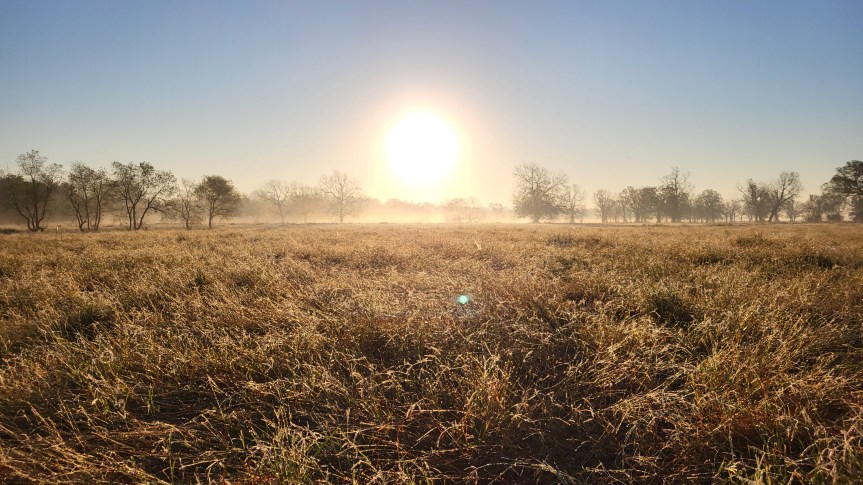 Ranch Ride Carriage Drive Looks Back on&nbsp;2024