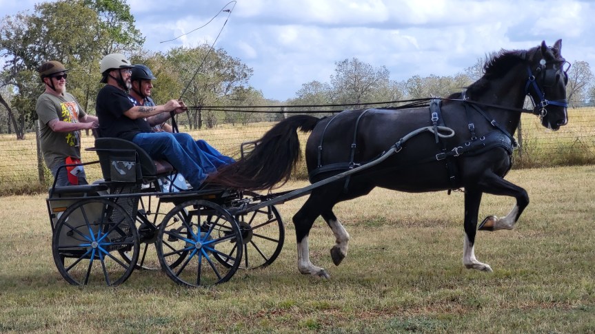 Serving Veterans: PTSD Foundation of America’s Camp&nbsp;Hope