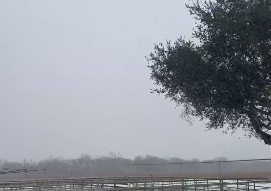 Snow in Texas!