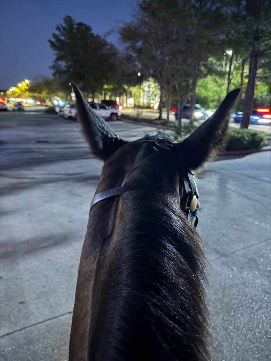 Fen Goes to&nbsp;Work