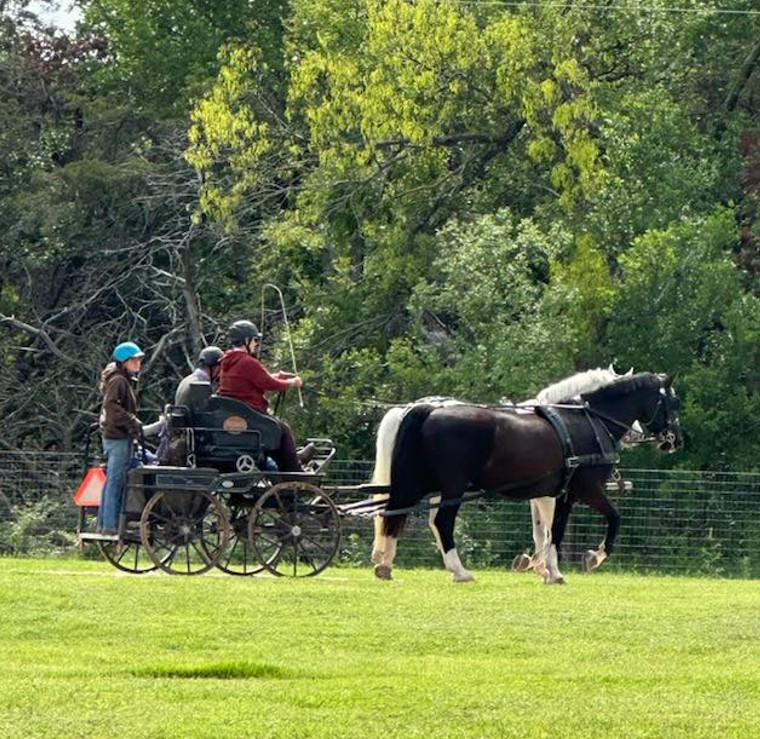 UPDATE: OUR DRIVING CLINIC IS&nbsp;POSTPONED!