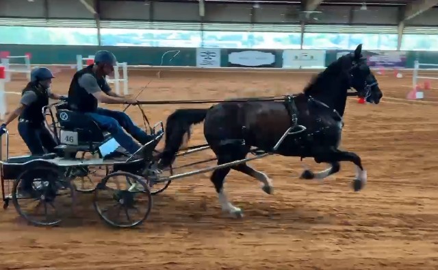 Derby Days in Lampasas, Texas, March&nbsp;2025!