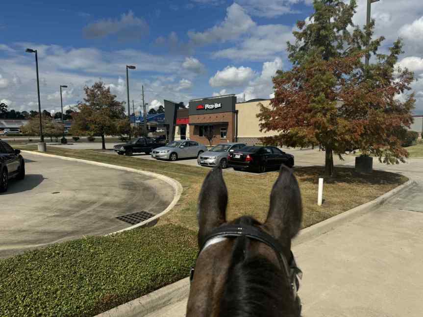 Fen’s Day in&nbsp;H-Town