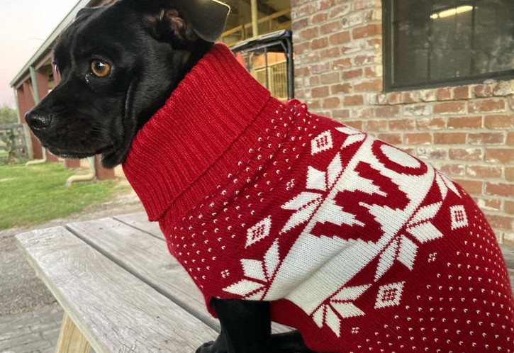 Merry Christmas to&nbsp;All!!