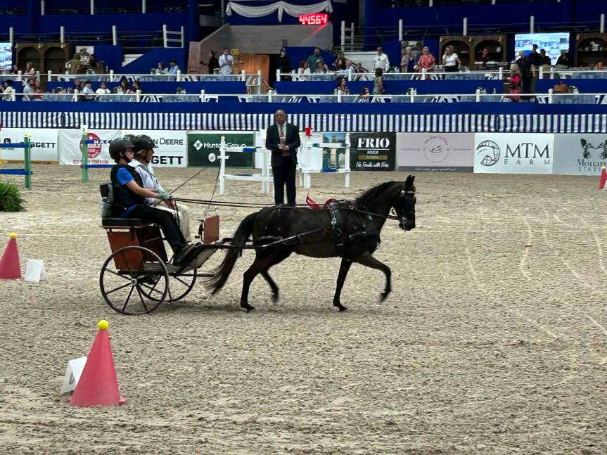 Ranch Ride Carriage Drive at the Inaugural Pin Oak Carriage Driving Derby&nbsp;2026!